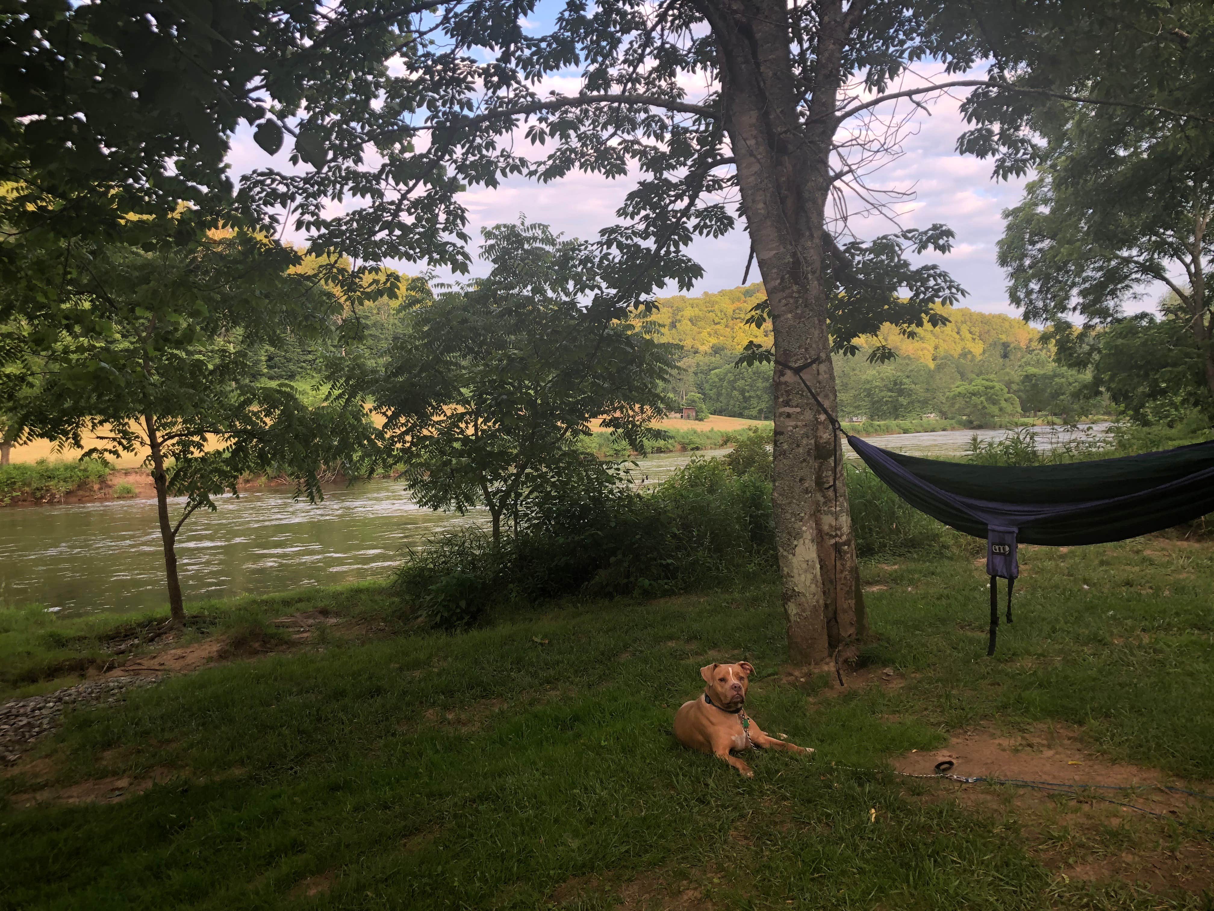 Camper submitted image from Dusty Trails Outfitters - 3
