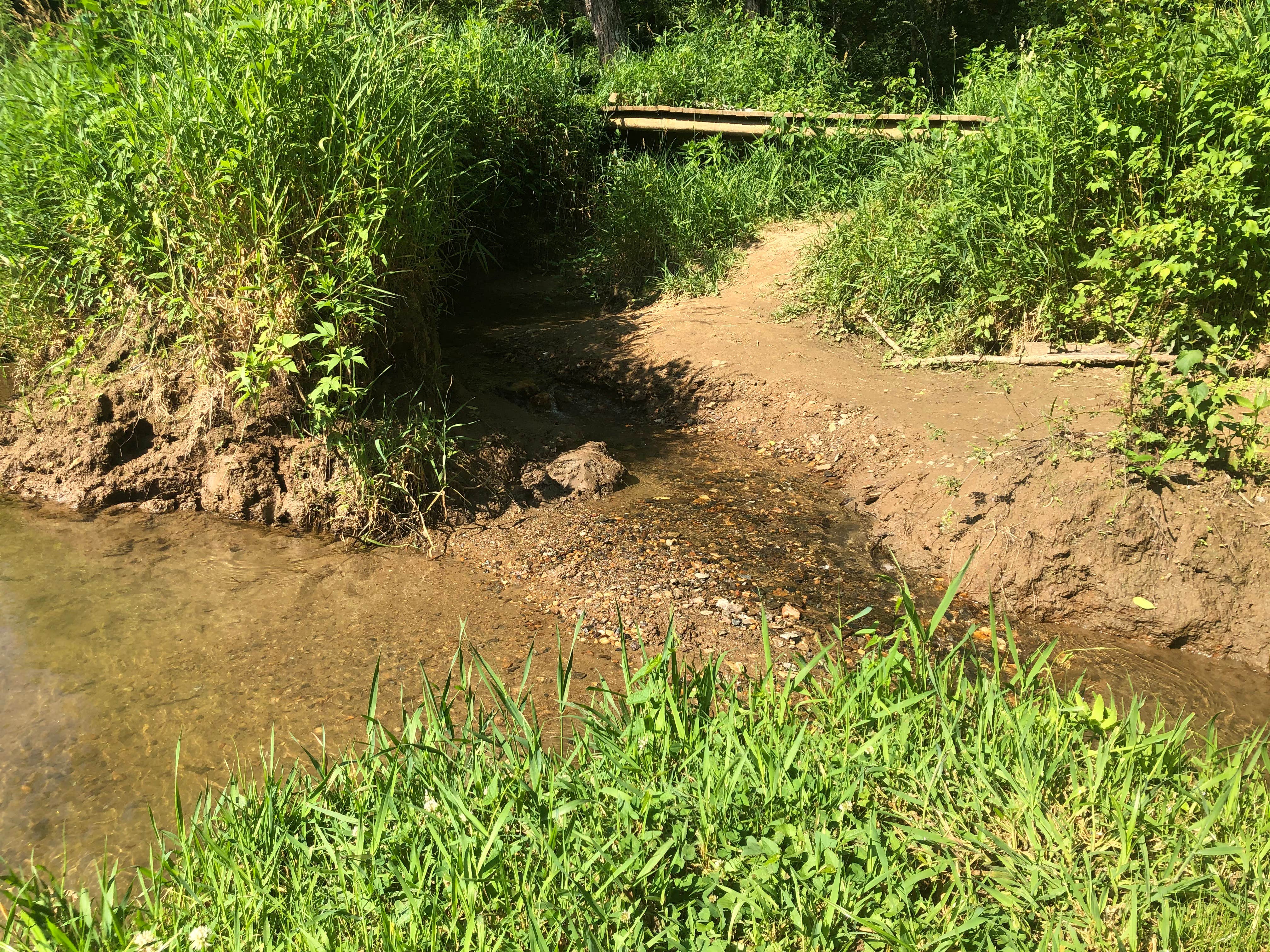 Camper-submitted photo at Dusty Trails Outfitters near Elk Creek, VA