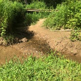 Review photo of Dusty Trails Outfitters  by Kirsten J., July 16, 2020