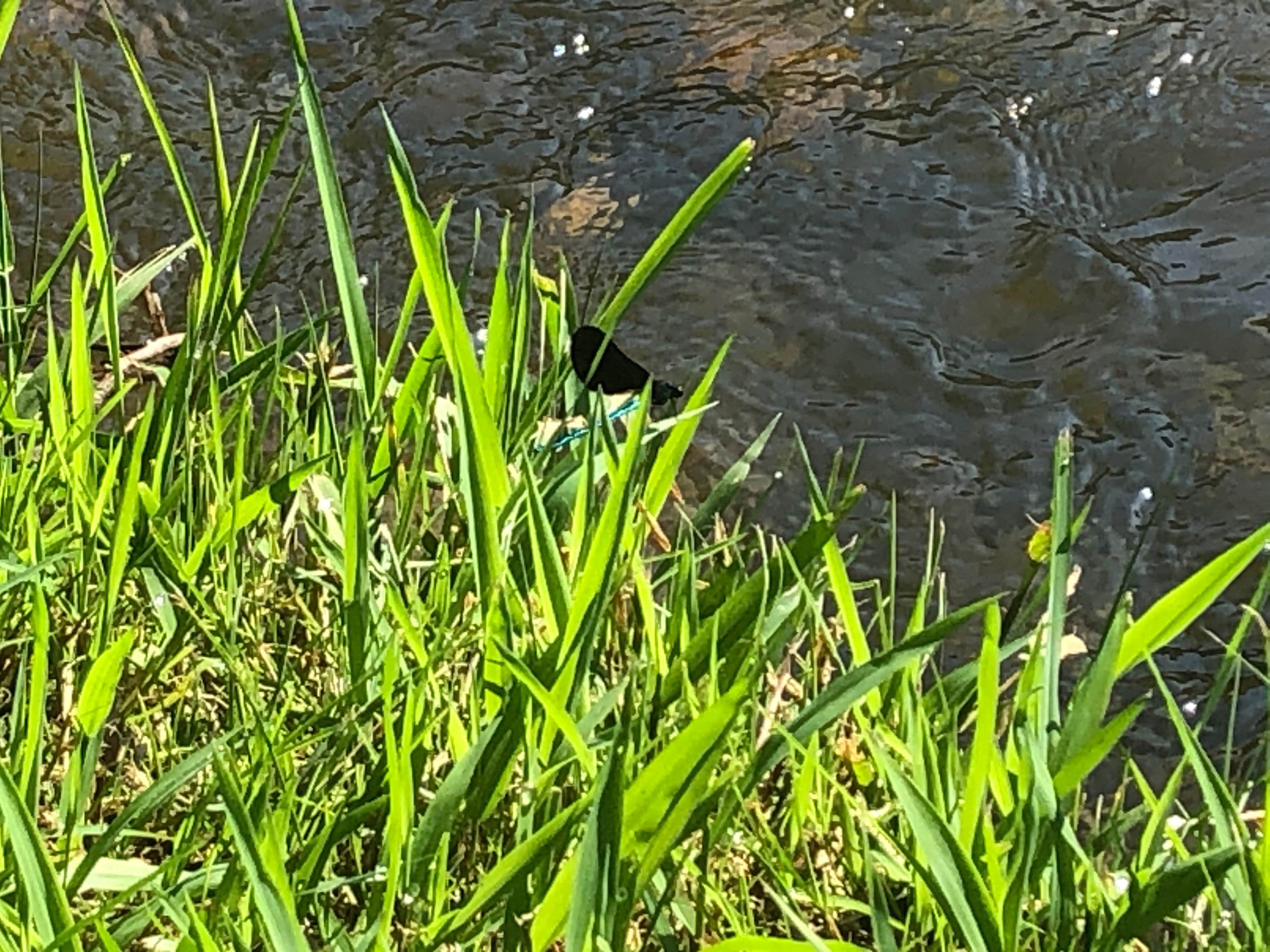 Camper-submitted photo at Dusty Trails Outfitters near Elk Creek, VA