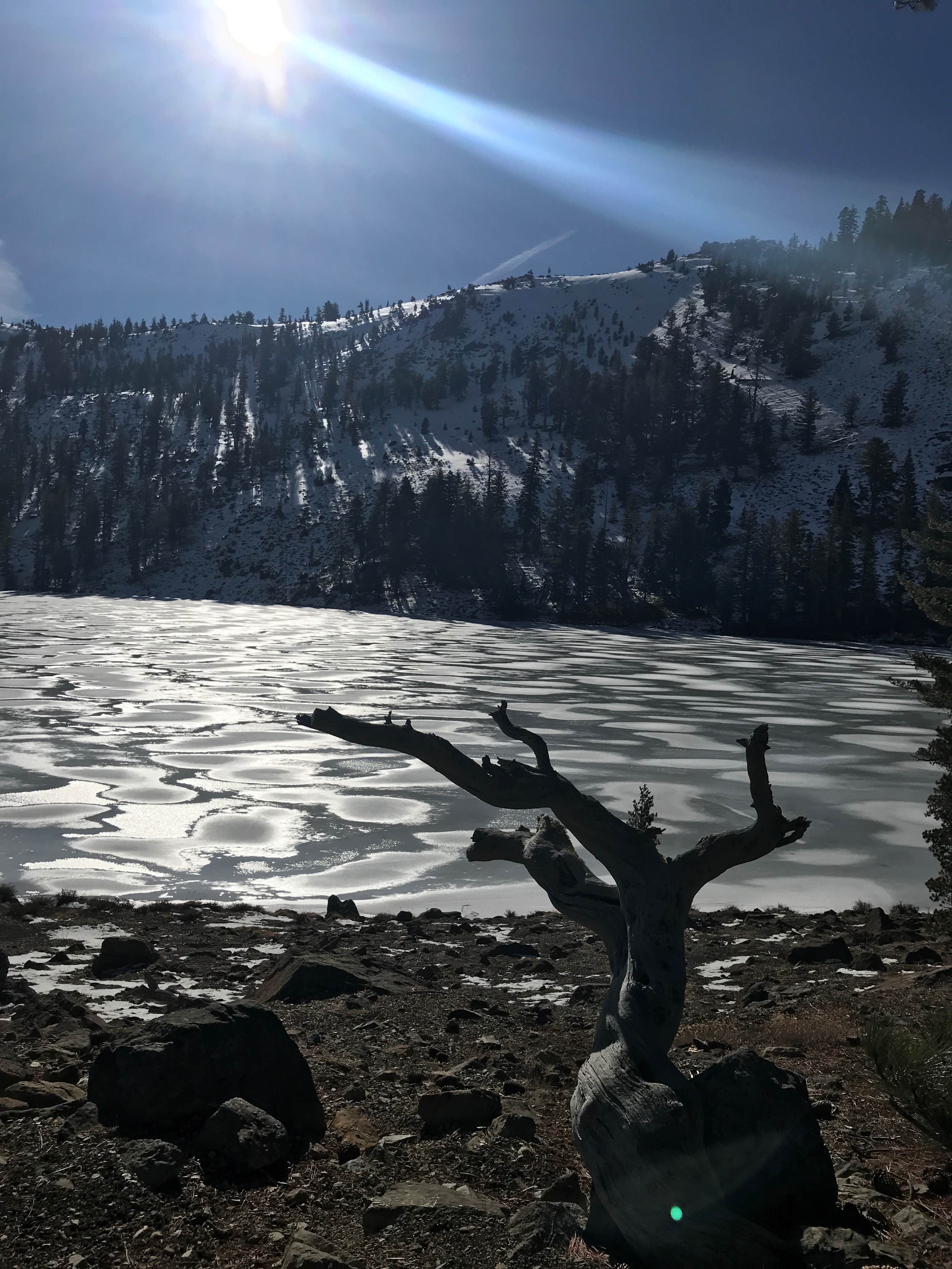 Camping near Captains Point Boat-in Campground: Alpine View Campground, Trinity Center, California