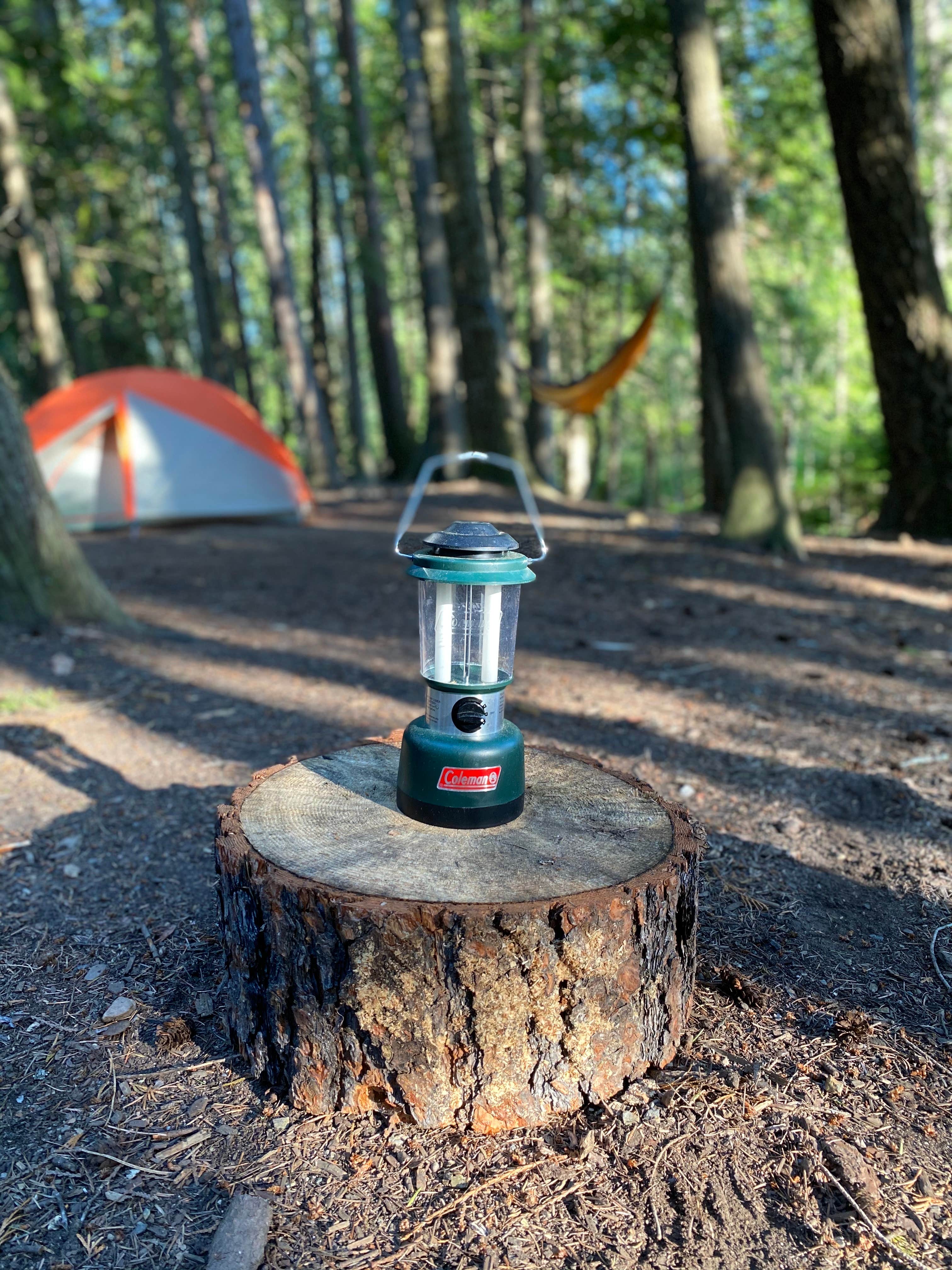 Camper submitted image from Round Lake State Park Campground - 4