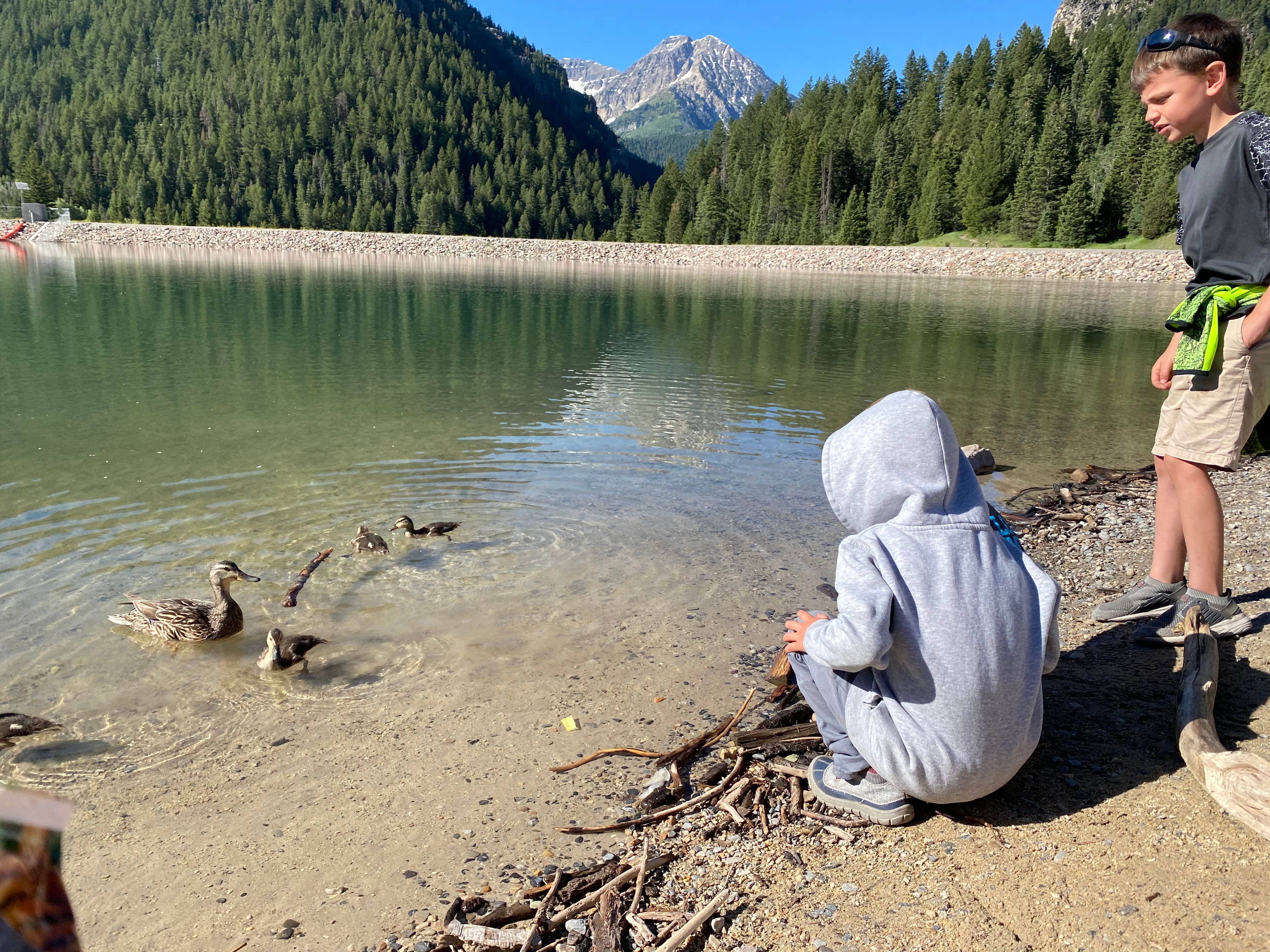 Camper submitted image from Granite Flat (utah) - 1