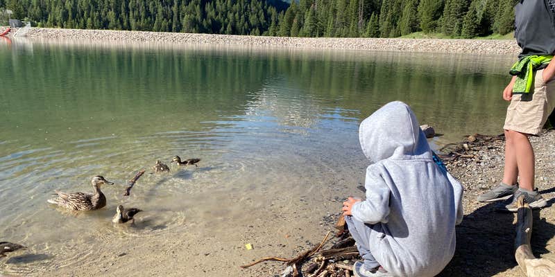 Camper submitted image from Granite Flat (utah)