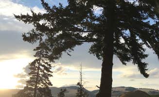 Carolyn P.'s photo at Memaloose State Park Campground near Hood River, OR