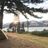 Review photo of Memaloose State Park Campground by Carolyn P., July 16, 2020