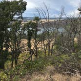 Review photo of Memaloose State Park Campground by Carolyn P., July 16, 2020