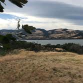 Review photo of Memaloose State Park Campground by Carolyn P., July 16, 2020