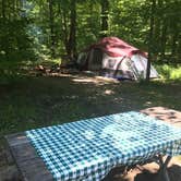 Review photo of Pymatuning State Park Campground by Mary S., July 16, 2020