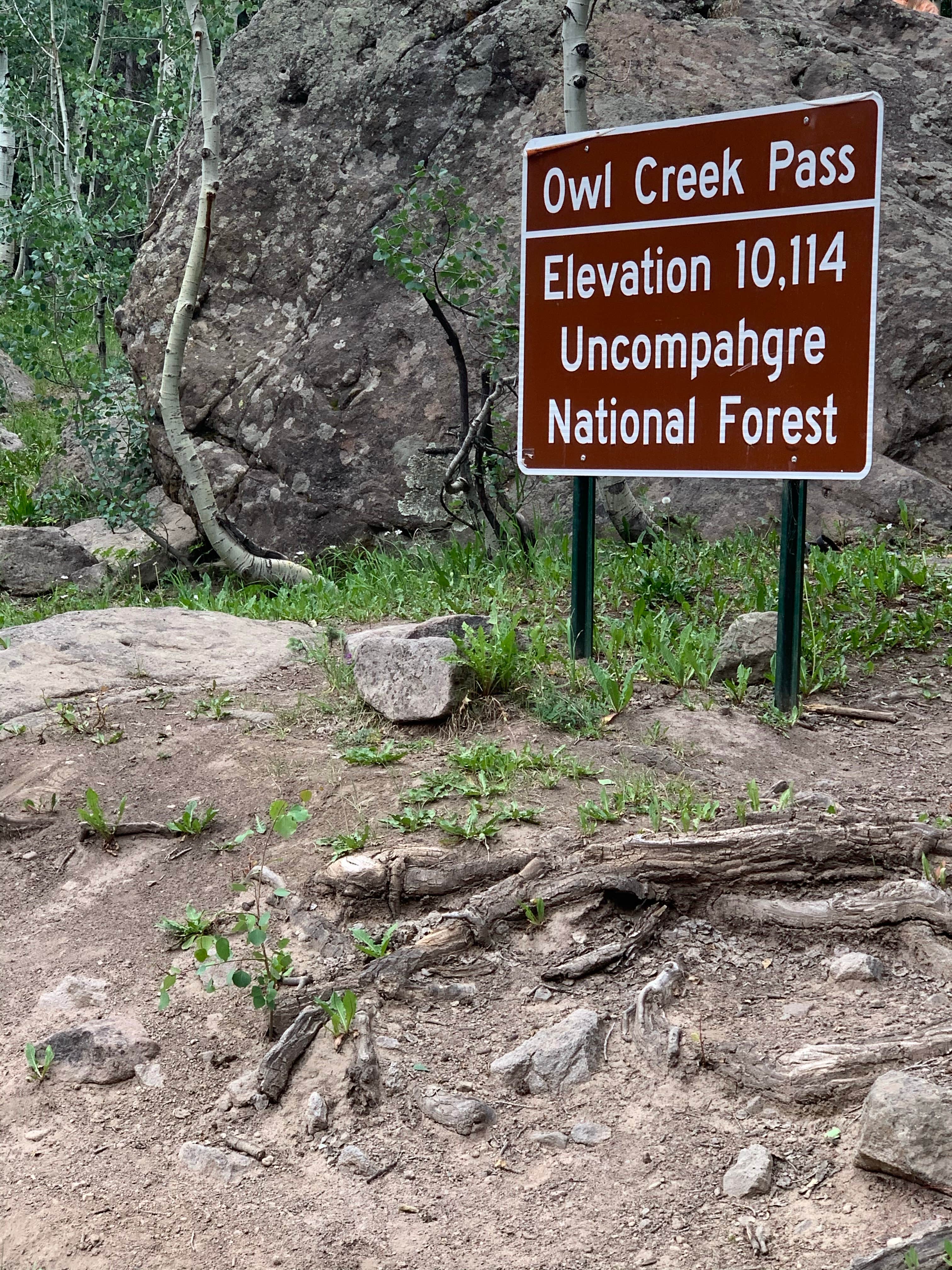 Camper submitted image from Owl Creek Pass - 2