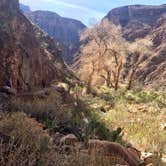 Review photo of Phantom Ranch — Grand Canyon National Park by Sarah S., February 22, 2018