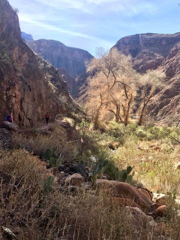 Camper submitted image from Phantom Ranch — Grand Canyon National Park - 2