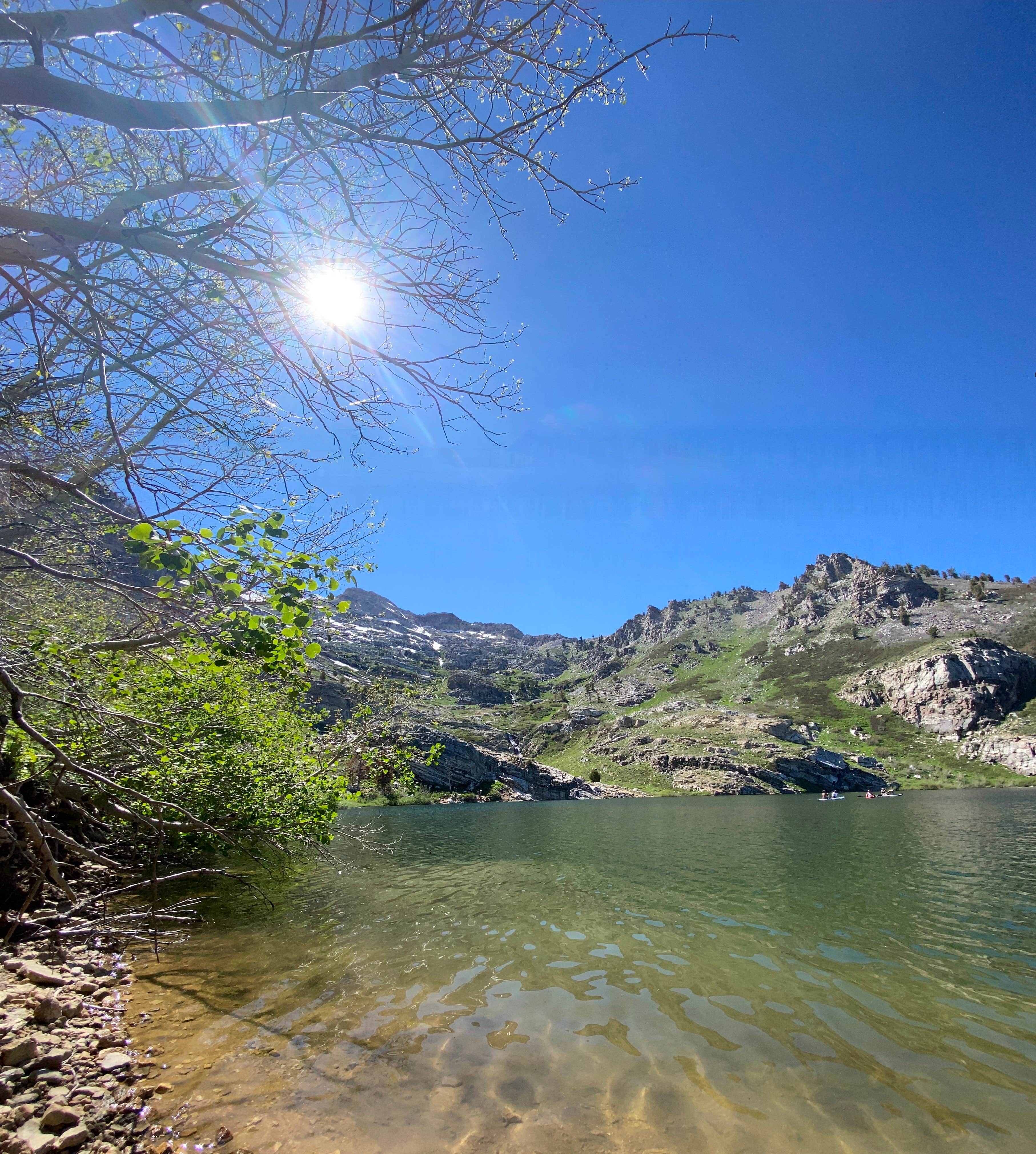 Camper submitted image from Humboldt National Forest Angel Lake Campground - 4