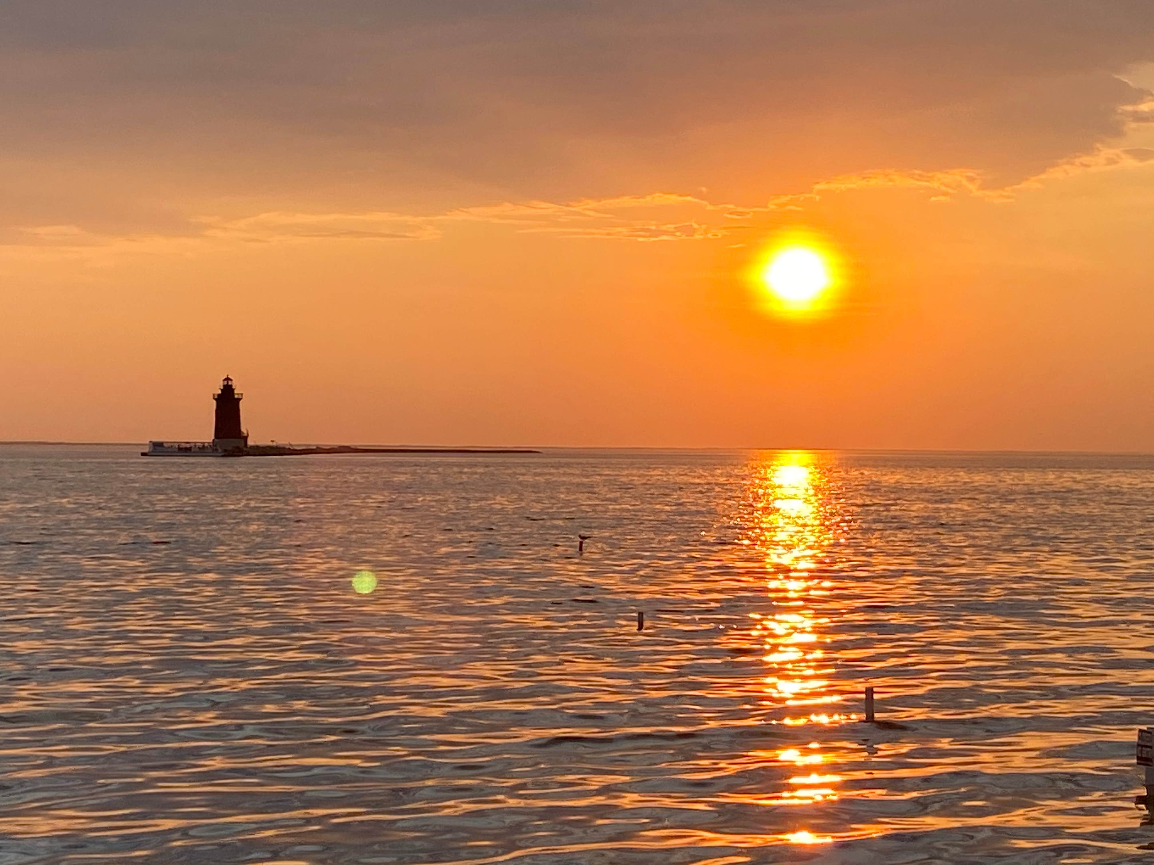 Camper submitted image from Cape Henlopen State Park Campground - 1