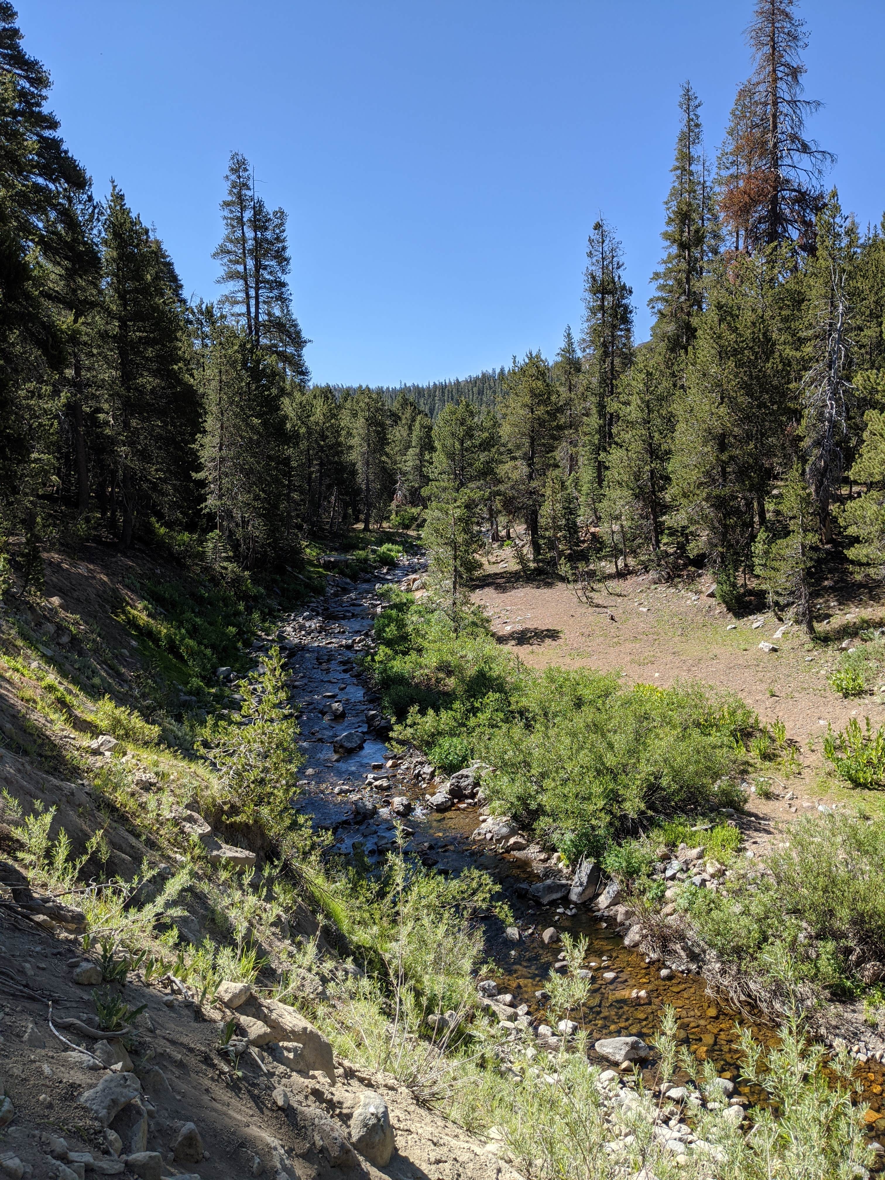 Camping near Highland Lakes Campground: Bloomfield Campground, Markleeville, California
