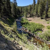Review photo of Bloomfield Campground by Adam B., July 17, 2020