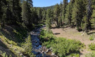 Camping near Clark Fork Campground: Bloomfield Campground, Markleeville, California