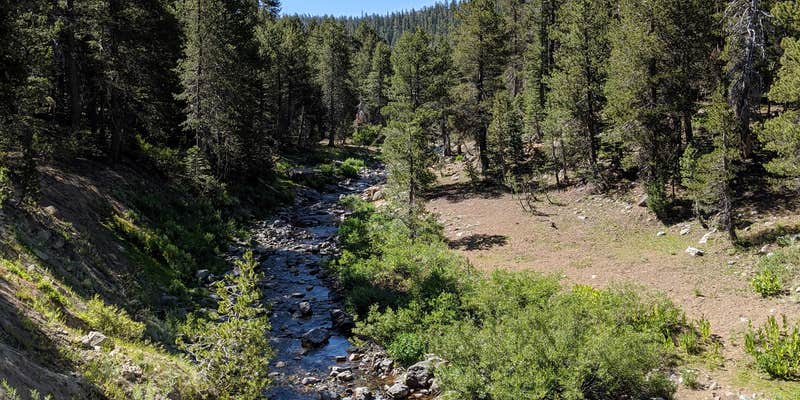 Camper submitted image from Bloomfield Campground