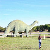 Review photo of Dinosaur Valley State Park — Dinosaur Valley State Park by Trevor B., July 17, 2020