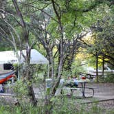 Review photo of Dinosaur Valley State Park — Dinosaur Valley State Park by Trevor B., July 17, 2020