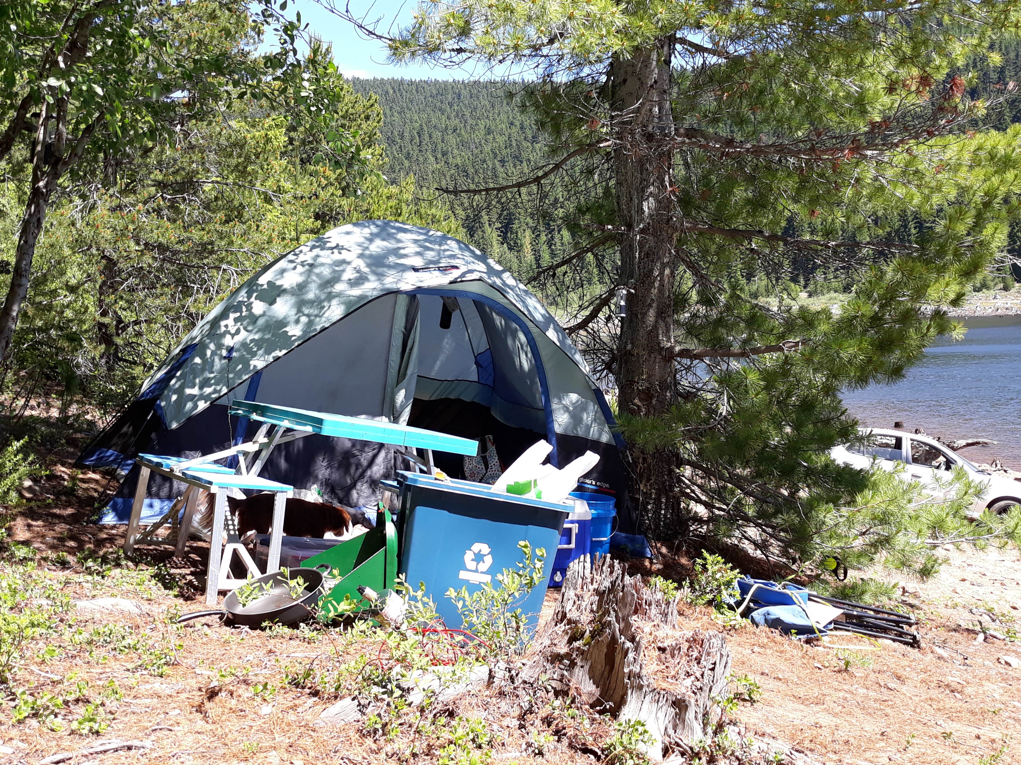 Rebekah H.'s photo at Clear Lake Campground near Mt. Hood National Forest