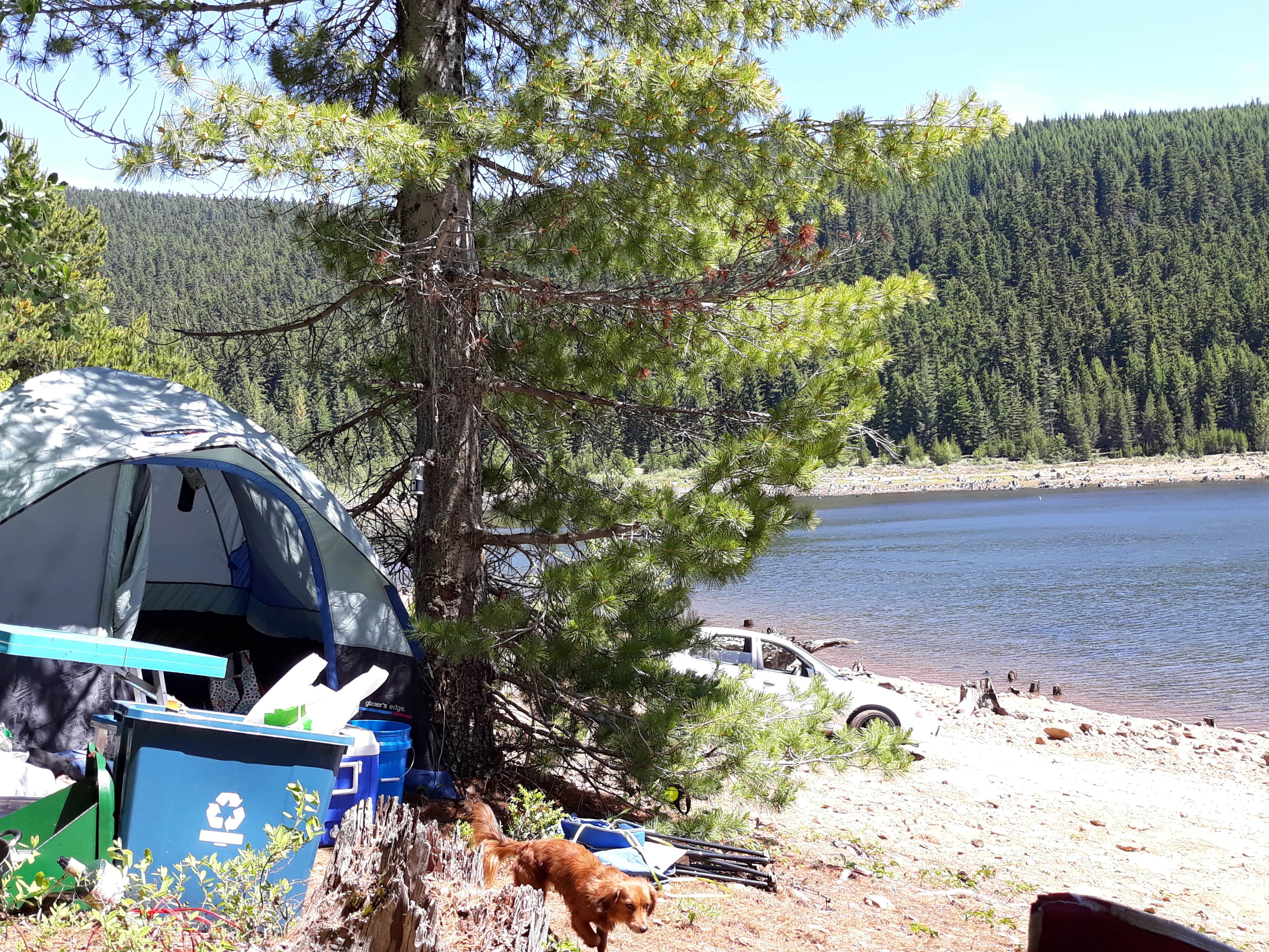 Rebekah H.'s photo at Clear Lake Campground near Mt. Hood National Forest
