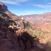 Review photo of Phantom Ranch — Grand Canyon National Park by Sarah S., February 22, 2018