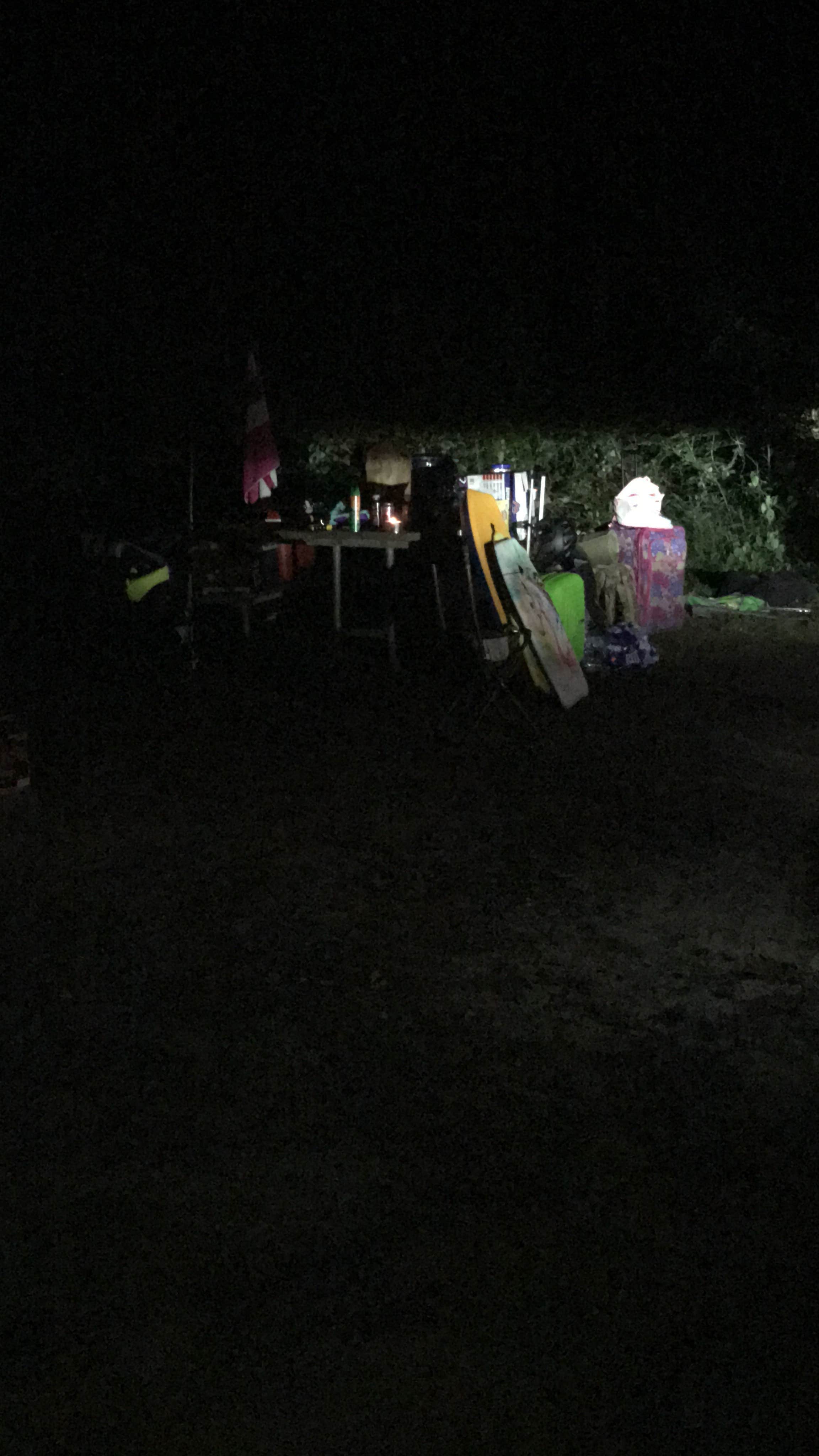 Camper-submitted photo at Pettigrew State Park Campground near Creswell, NC