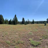 Review photo of Madison Campground — Yellowstone National Park by Brooke M., July 17, 2020
