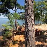 Review photo of Hamilton Branch State Park Campground by Marissa H., July 17, 2020