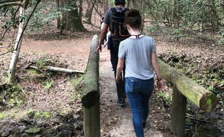 Marissa H.'s photo of camping with pets at Poinsett State Park Campground near Elgin, SC