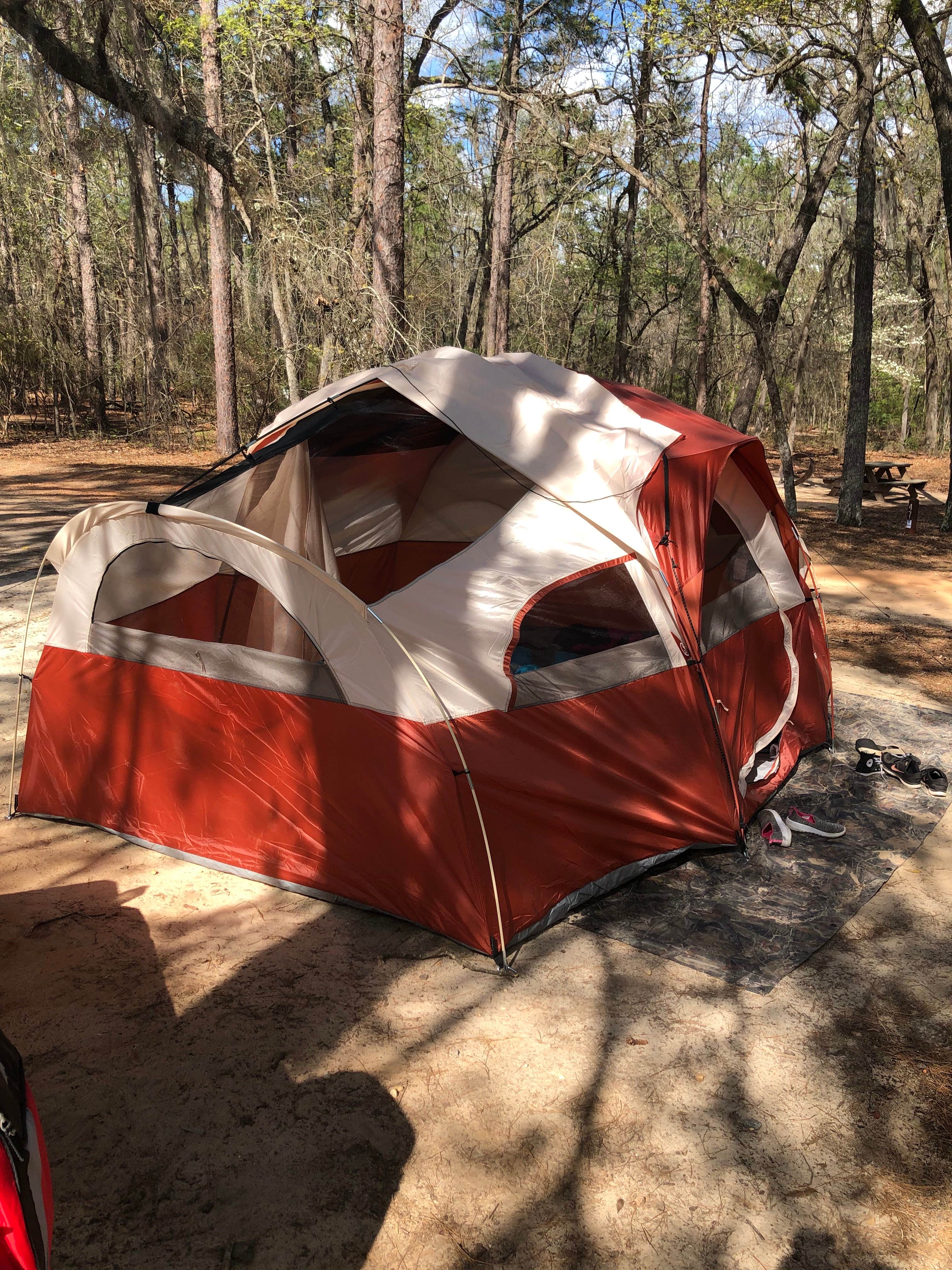 Marissa H.'s photo at Poinsett State Park Campground near Blythewood, SC