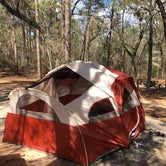 Review photo of Poinsett State Park Campground by Marissa H., July 17, 2020