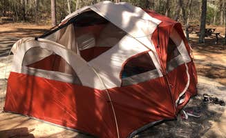 Marissa H.'s photo at Poinsett State Park Campground near West Columbia, SC