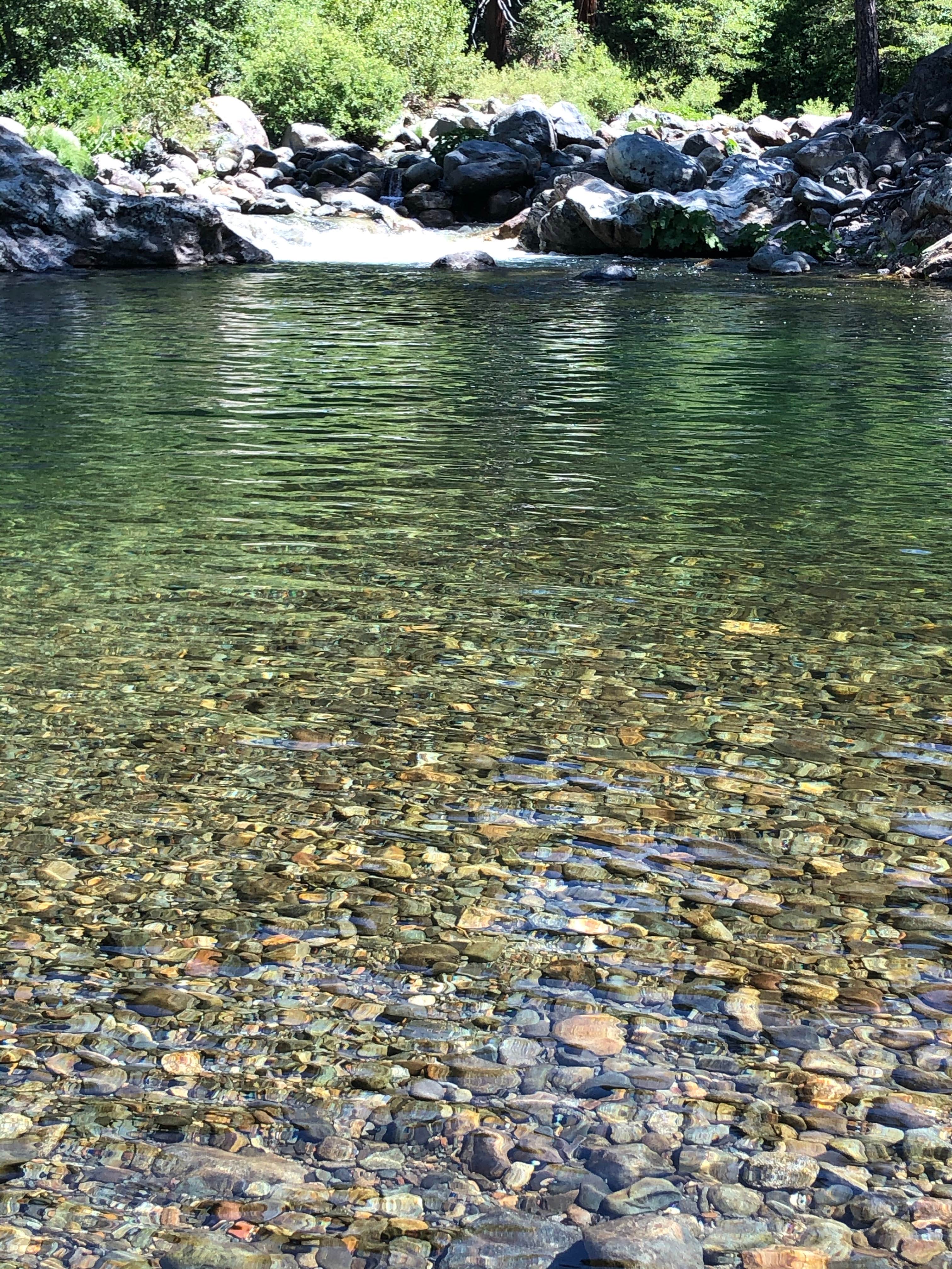 Camper-submitted photo at Sierra Skies RV Park near Calpine, CA