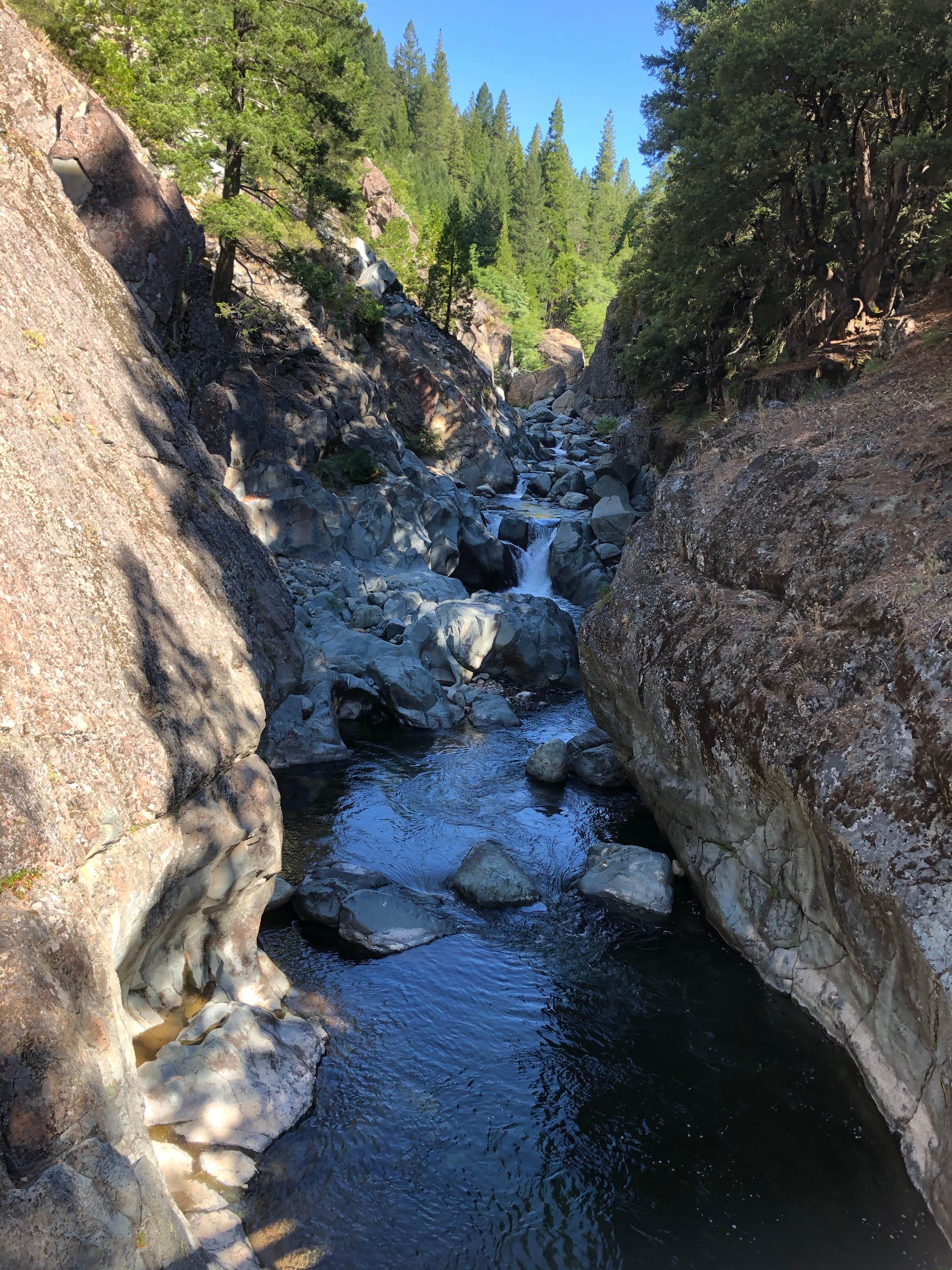 Camper-submitted photo at Sierra Skies RV Park near Calpine, CA