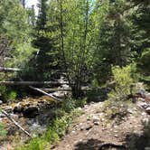 Review photo of Baker Creek Campground — Great Basin National Park by Thomas B., July 17, 2020