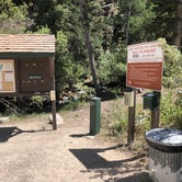 Review photo of Baker Creek Campground — Great Basin National Park by Thomas B., July 17, 2020