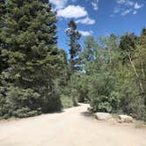 Review photo of Baker Creek Campground — Great Basin National Park by Thomas B., July 17, 2020