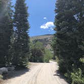 Review photo of Baker Creek Campground — Great Basin National Park by Thomas B., July 17, 2020