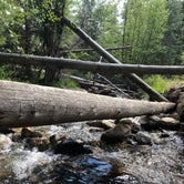 Review photo of Baker Creek Campground — Great Basin National Park by Thomas B., July 17, 2020