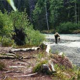 Review photo of Russian River - TEMPORARILY CLOSED by Taylor W., February 22, 2018