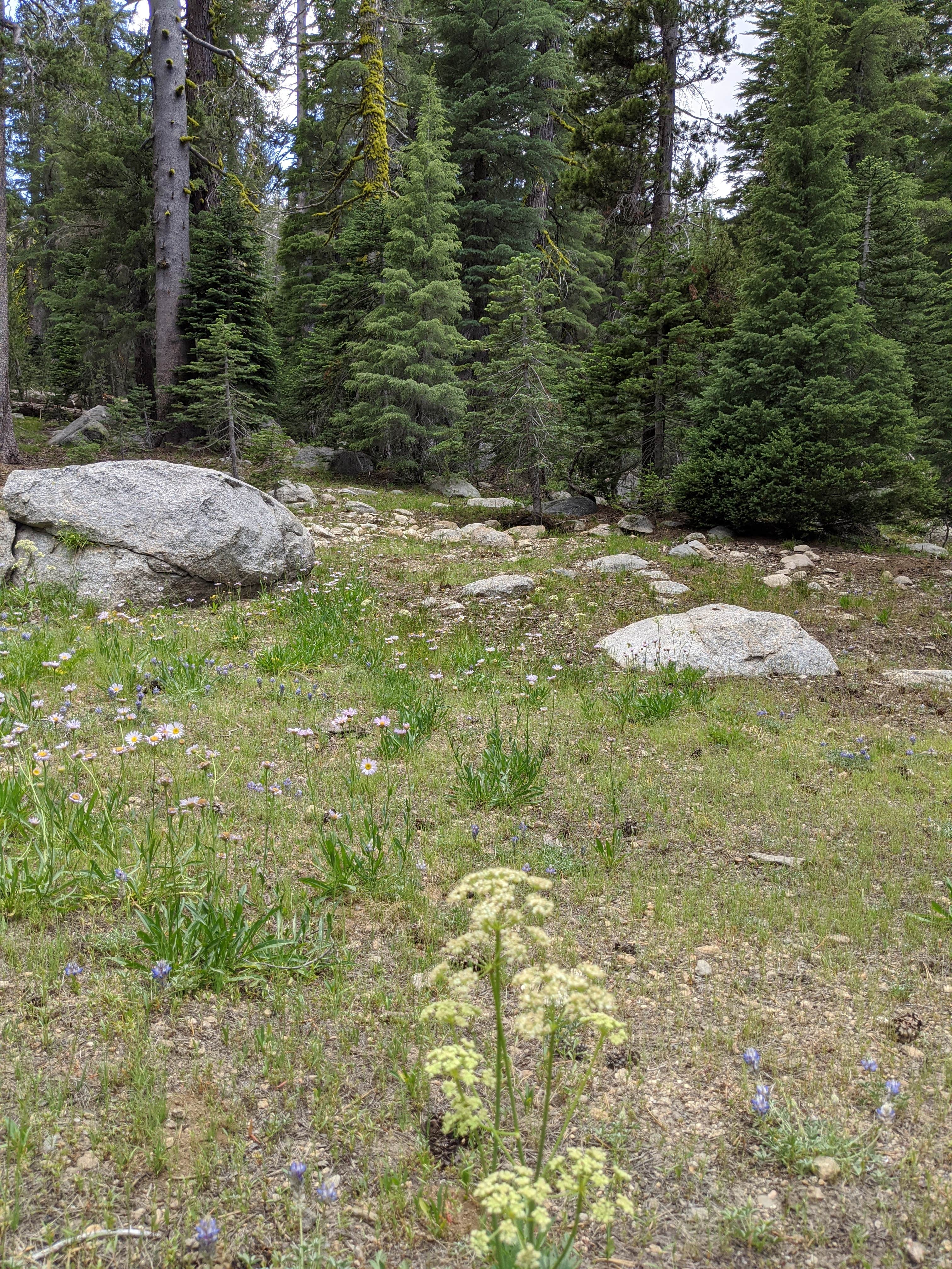 Camper-submitted photo at Pacific Valley Campground near Coleville, CA