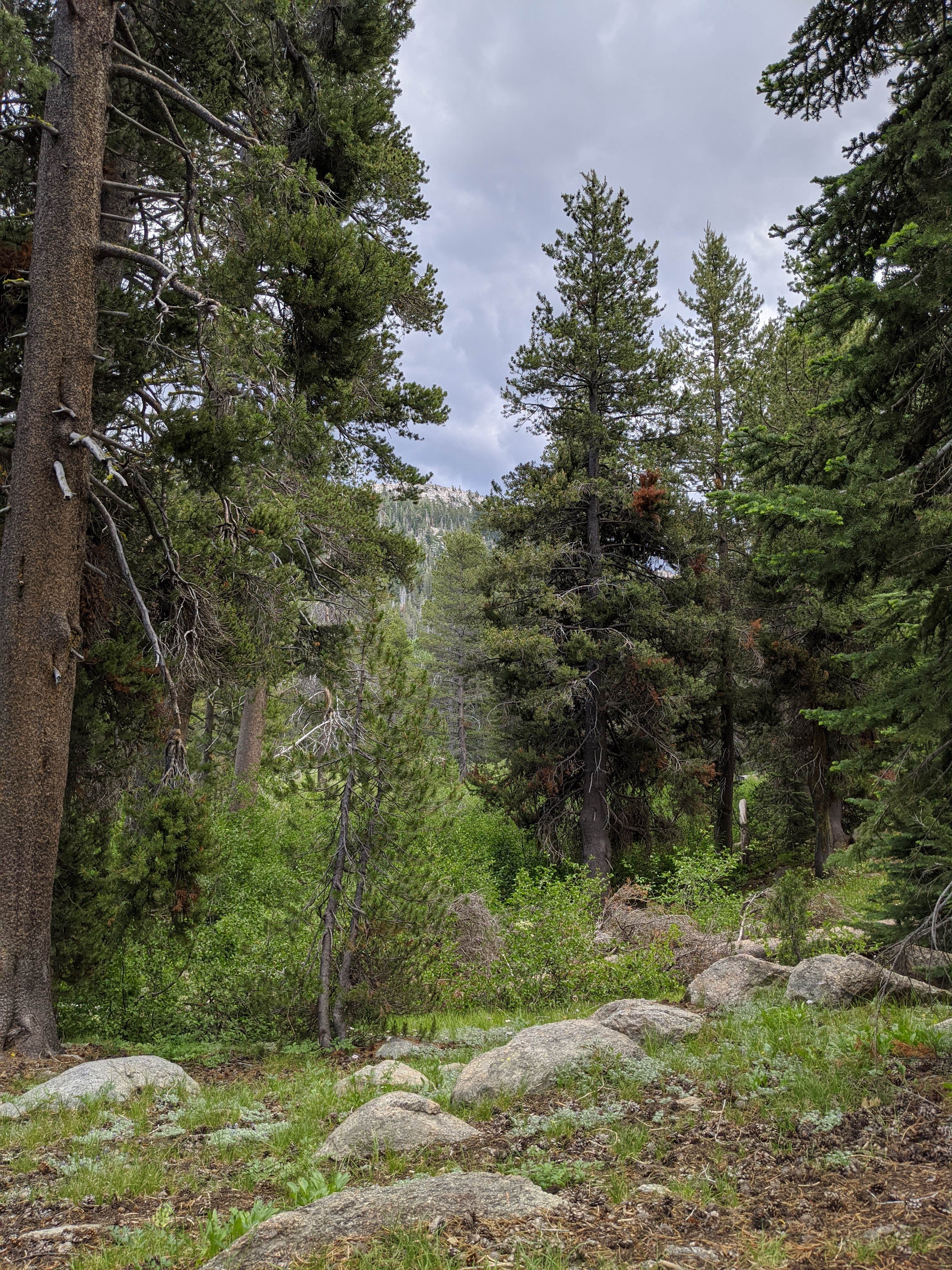 Camper-submitted photo at Pacific Valley Campground near Coleville, CA