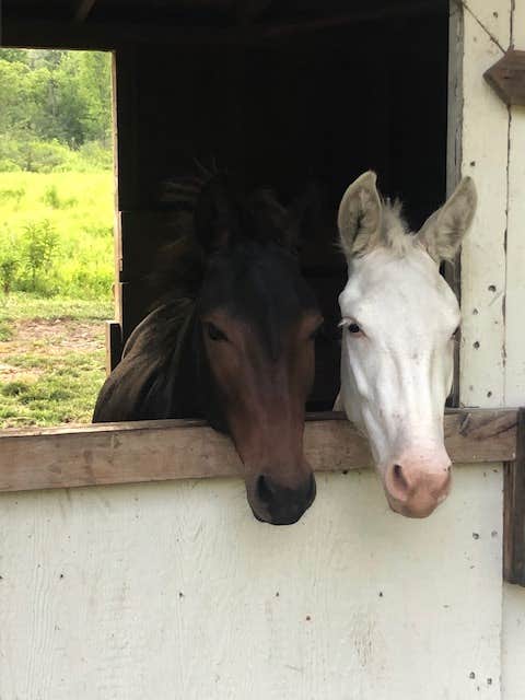 Camper-submitted photo at Clearwater Campground near Grand Blanc, MI