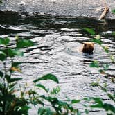 Review photo of Russian River - TEMPORARILY CLOSED by Taylor W., February 22, 2018