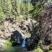 Review photo of North Fork Campground by Adam B., July 17, 2020