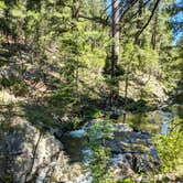Review photo of North Fork Campground by Adam B., July 17, 2020