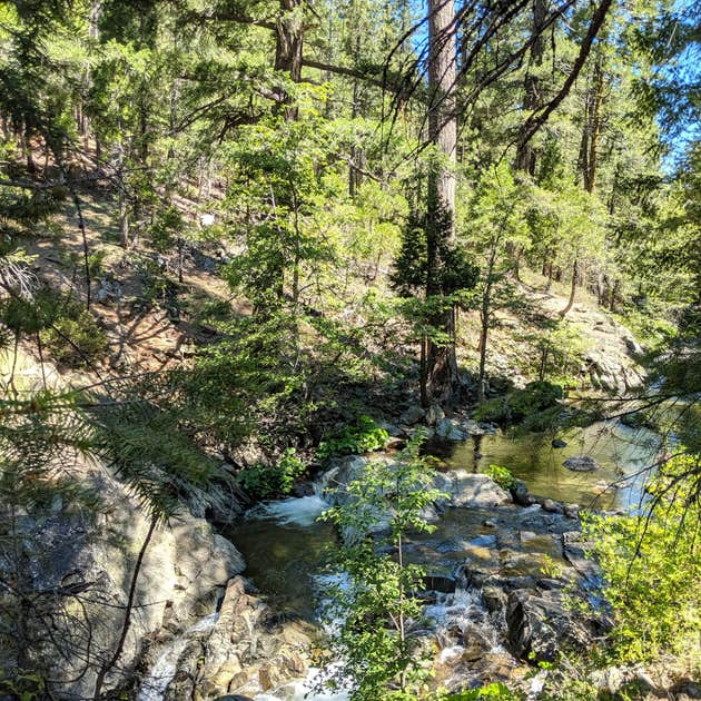 North Fork (Ca) The Dyrt