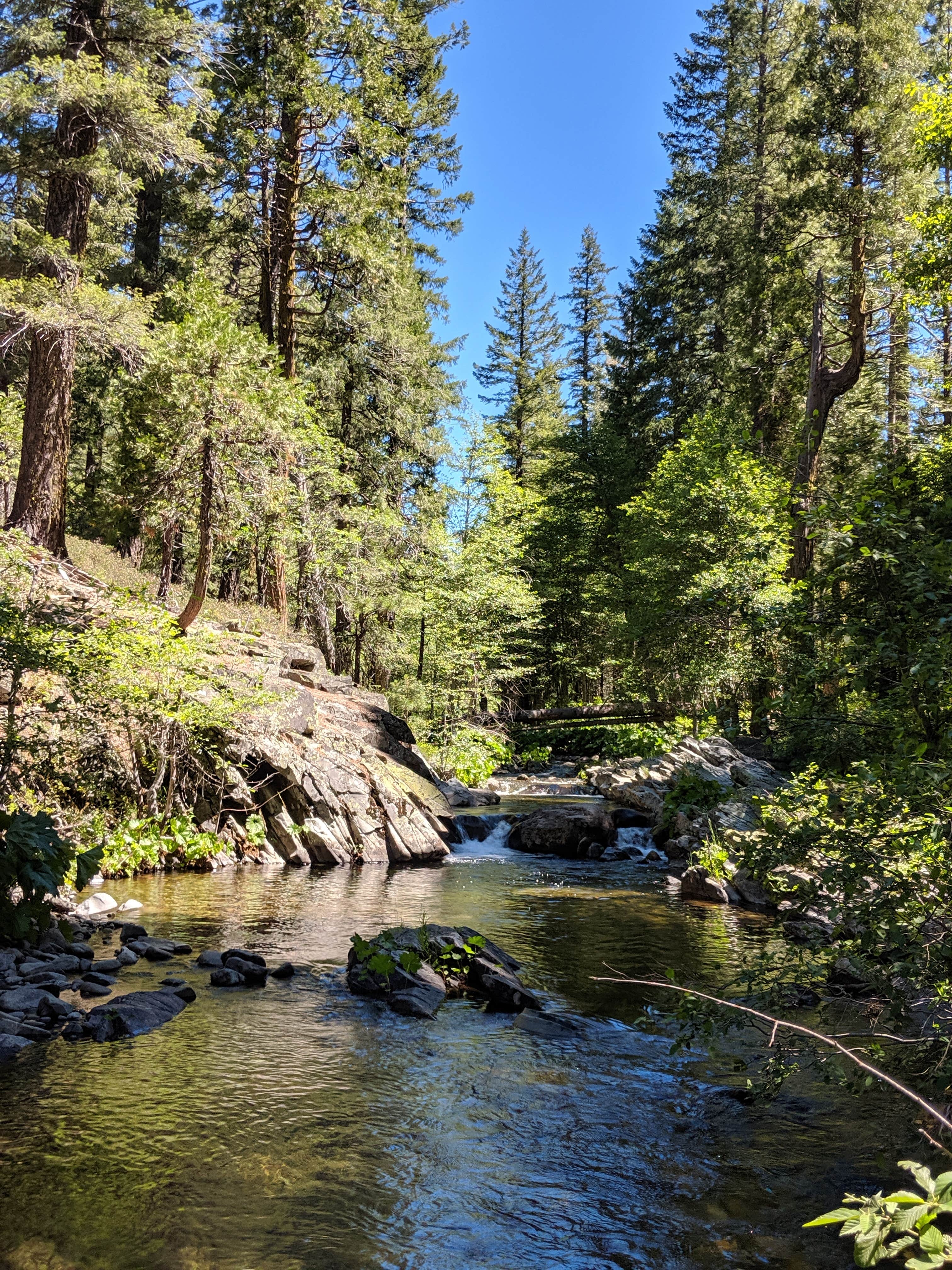 Camper-submitted photo at North Fork Campground near Emigrant Gap, CA
